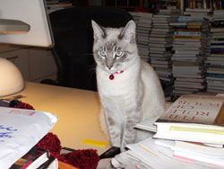 Bella
